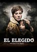 El elegido (Stone council)