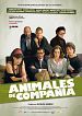 Foto : Animales de compañía