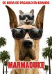 Foto : Marmaduke