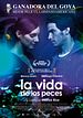 Foto : La Vida de los peces