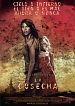 La cosecha