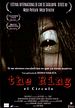 The ring (el círculo)