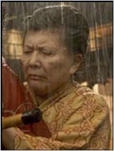 Tsai Chin