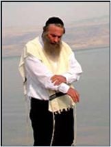 Assi Dayan